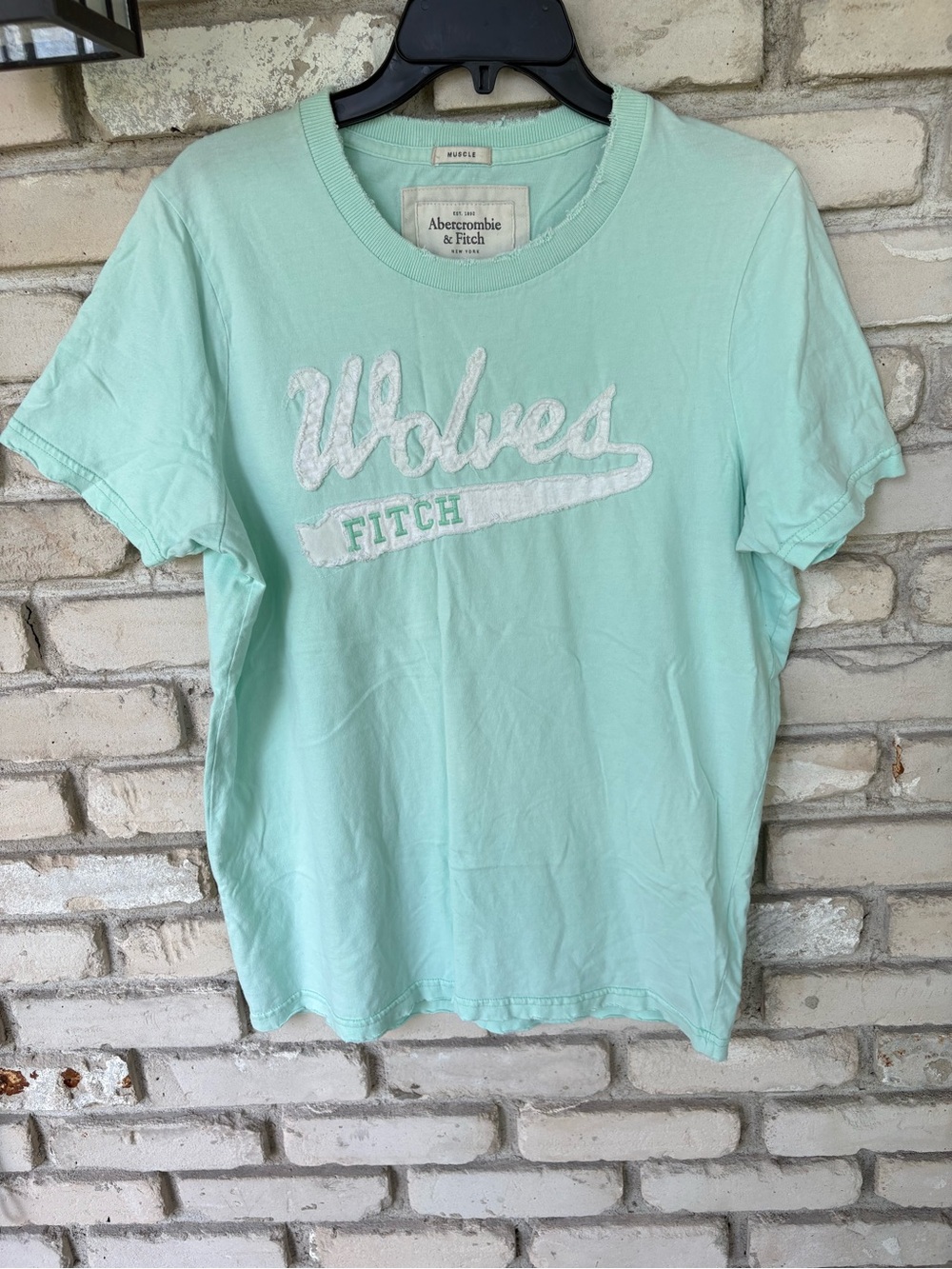 Abercrombie & Fitch Mint Green 'Wolves' Graphic Short Sleeve Tee shirt